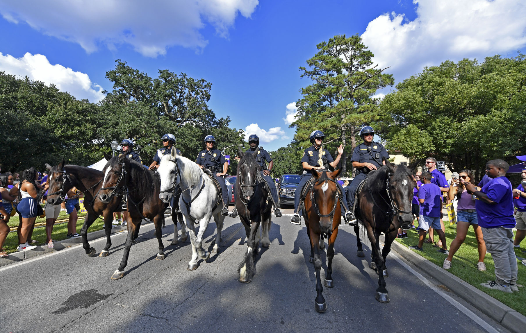 BR.brpdhorses.adv HS 042.JPG